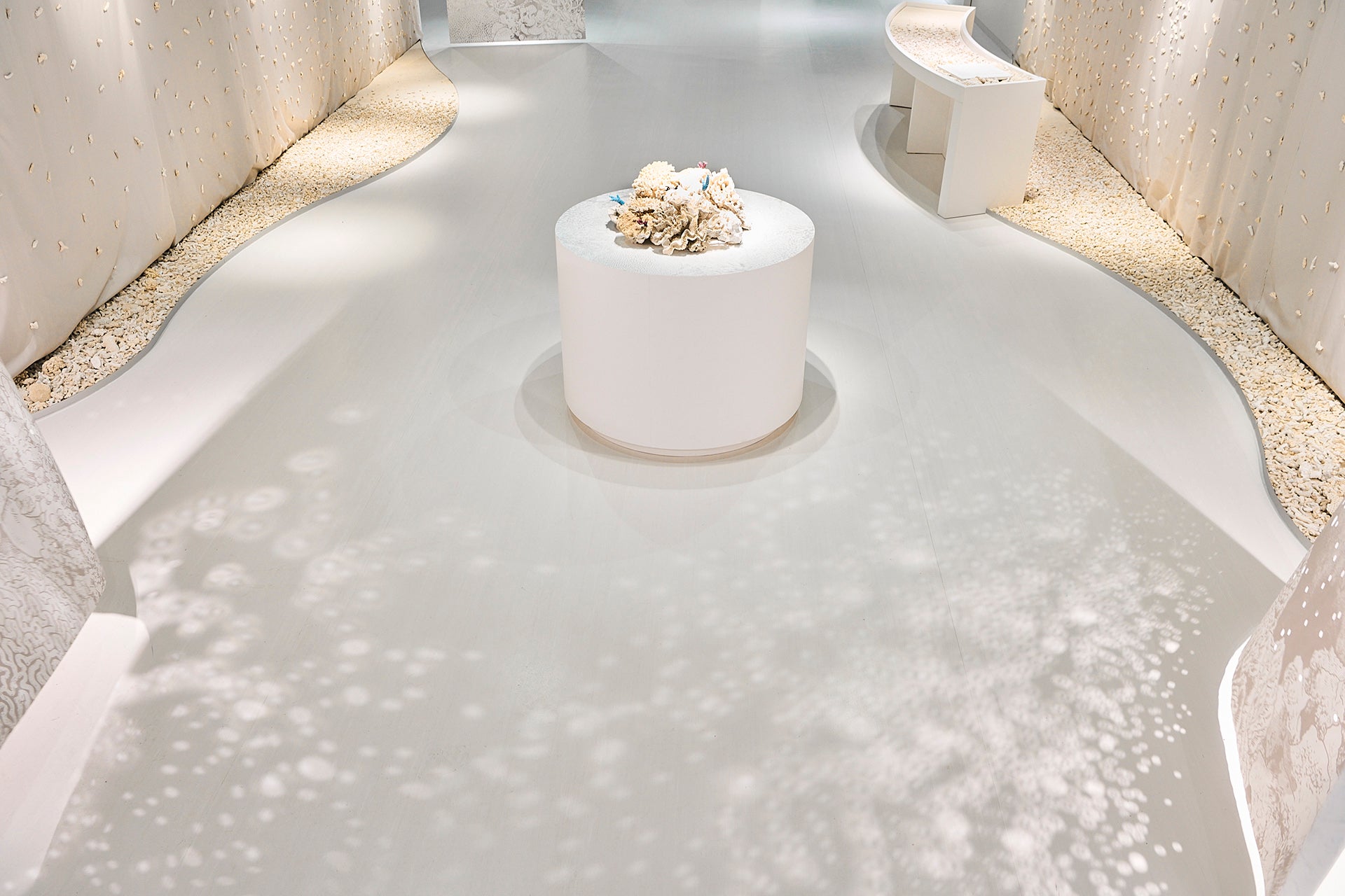 Kaiyukan Special Exhibition “Inochi Guruguru Coral Exhibition”